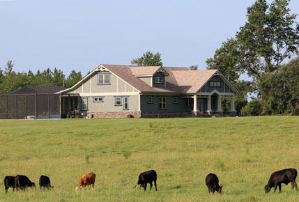 Custom Bungalow Home Florida Architect